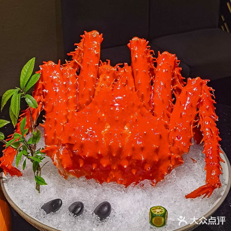 新西兰鳌虾不限量,瞬间感觉挖到宝了!