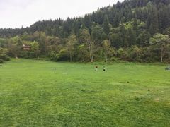 -武陵山森林公园