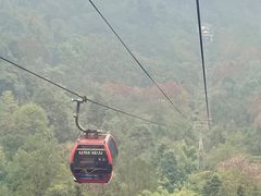 -青城山