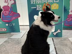 -济南恒隆广场