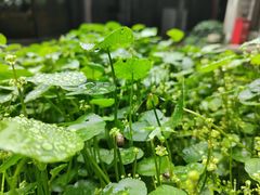 -宁波市保国寺古建筑博物馆