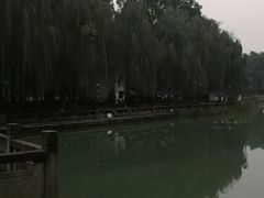 -温江公园