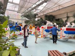 -南宫五洲植物乐园