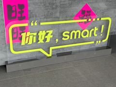 -上海浦东smart汽车全功能店(金桥店)