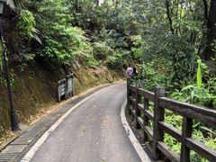 -广州市流溪河国家森林公园