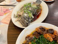 -海港酒家(上水新丰店)