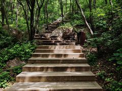 -大岭沟猕猴桃谷风景区
