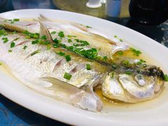 太湖白鱼-梁溪河畔·吉府花园(南长街南下塘店)