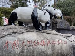 -都江堰中华大熊猫苑
