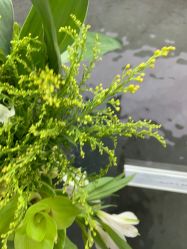 -HEYAN荷妍专业脱毛连锁机构