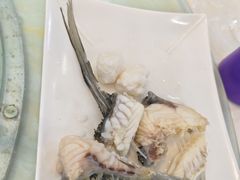 -源港渔村-中山脆肉鲩(博罗店)