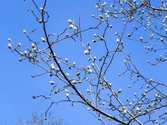 -西北湖绿化广场