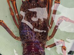 -万龙洲海鲜(亚运村店)
