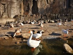 -西安秦岭野生动物园