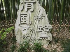 -陈家山荷花公园