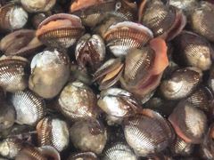 -望海潮海鲜店 特色家常菜(在海一方店)