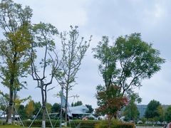 -成飞公园