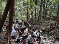 -天目山大树王景区