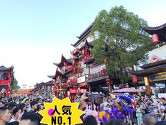 -狮子关旅游区