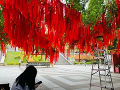 -西双版纳勐泐文化旅游区