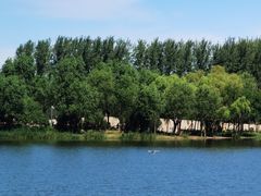 -东郊湿地公园