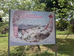 -天适樱花悠乐园