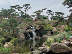 -罗红摄影艺术馆