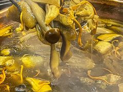 -阿山卓·野生菌火锅·纳西火塘烤肉