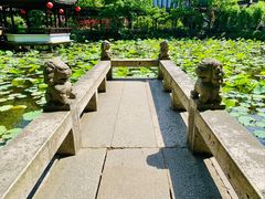 -上海醉白池公园
