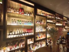 -Hi City·城市之巅