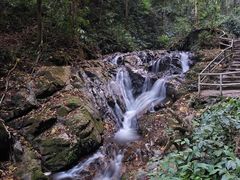 -莫里热带雨林景区