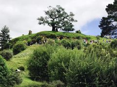 -霍比特人村