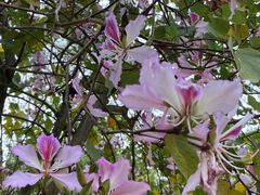 -广东外语外贸大学(白云山校区)