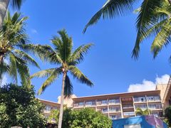 -亚龙湾红树林度假酒店-韩轩韩餐厅