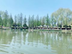 -滨湖塘西河公园