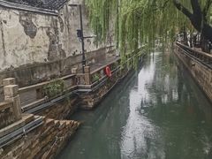 -乾芝斋·苏式糕点·碧螺春茶酥(平江路店)
