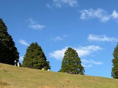 -神户市立六甲山牧场