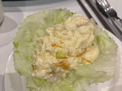 -食为先(Shark Fin)