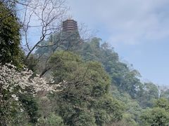 -青城山