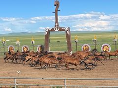 -呼伦贝尔大草原巴尔虎蒙古部落民俗旅游度假景区