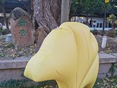 -苏州文庙(姑苏区)