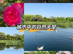 -金银湖国家城市湿地公园