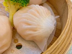虾饺皇-雅香园·30年老字号顺德酒家(乐从岳步店)