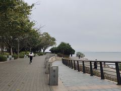 -深圳湾公园(南山区)