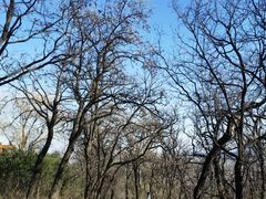 -阳台山自然风景区