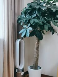 -上海华美医疗美容医院