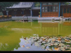 -宣武艺园