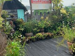 -自然餐厅(Phuket)