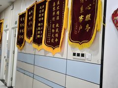 -中农国际动物医院24小时·猫科·骨科·急重症中心