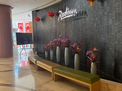 -天津水游城丽筠酒店